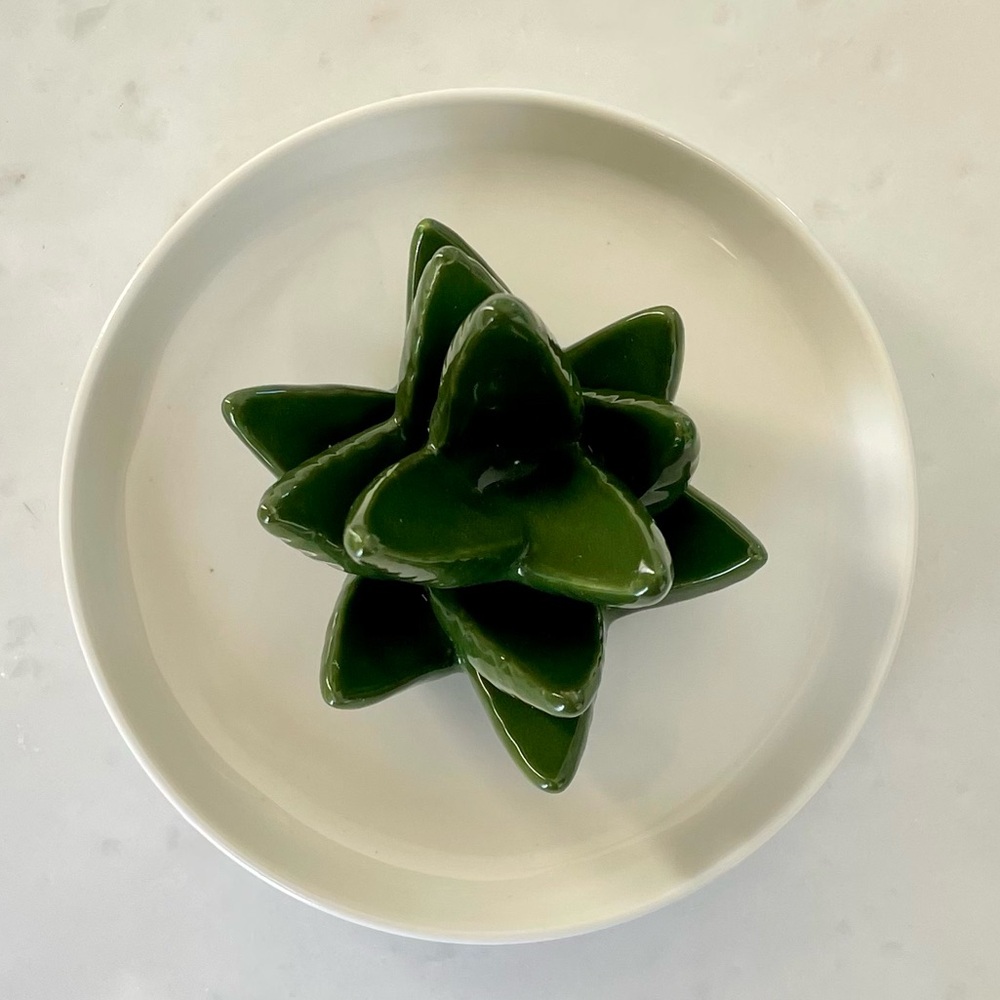 Cactus Ring Holder - Picture 9 of 10